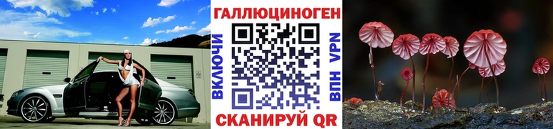 Галлюциногенные грибы GOLDEN TEACHER  Купить закладки  Красный Кут 